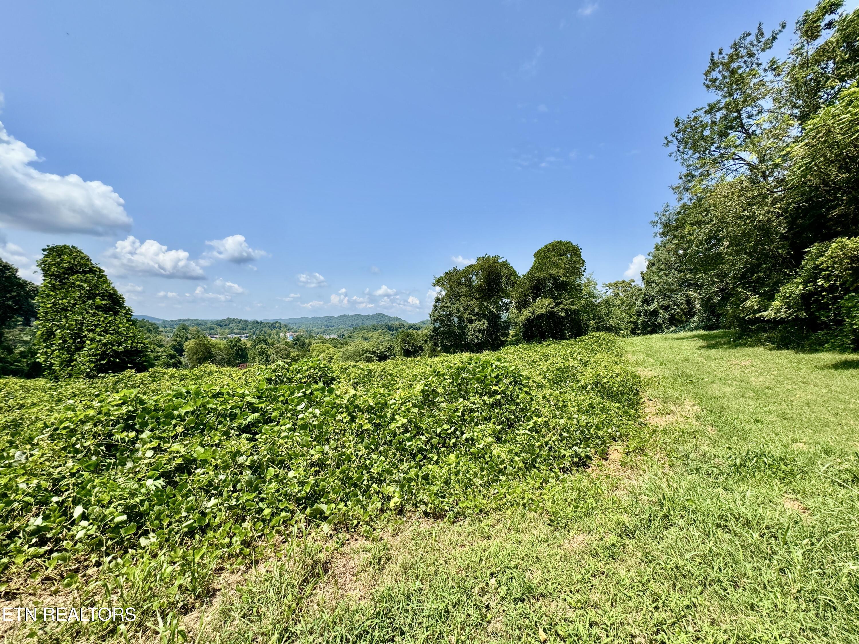 0 Tecoy Quarry Road Knoxville TN 37921