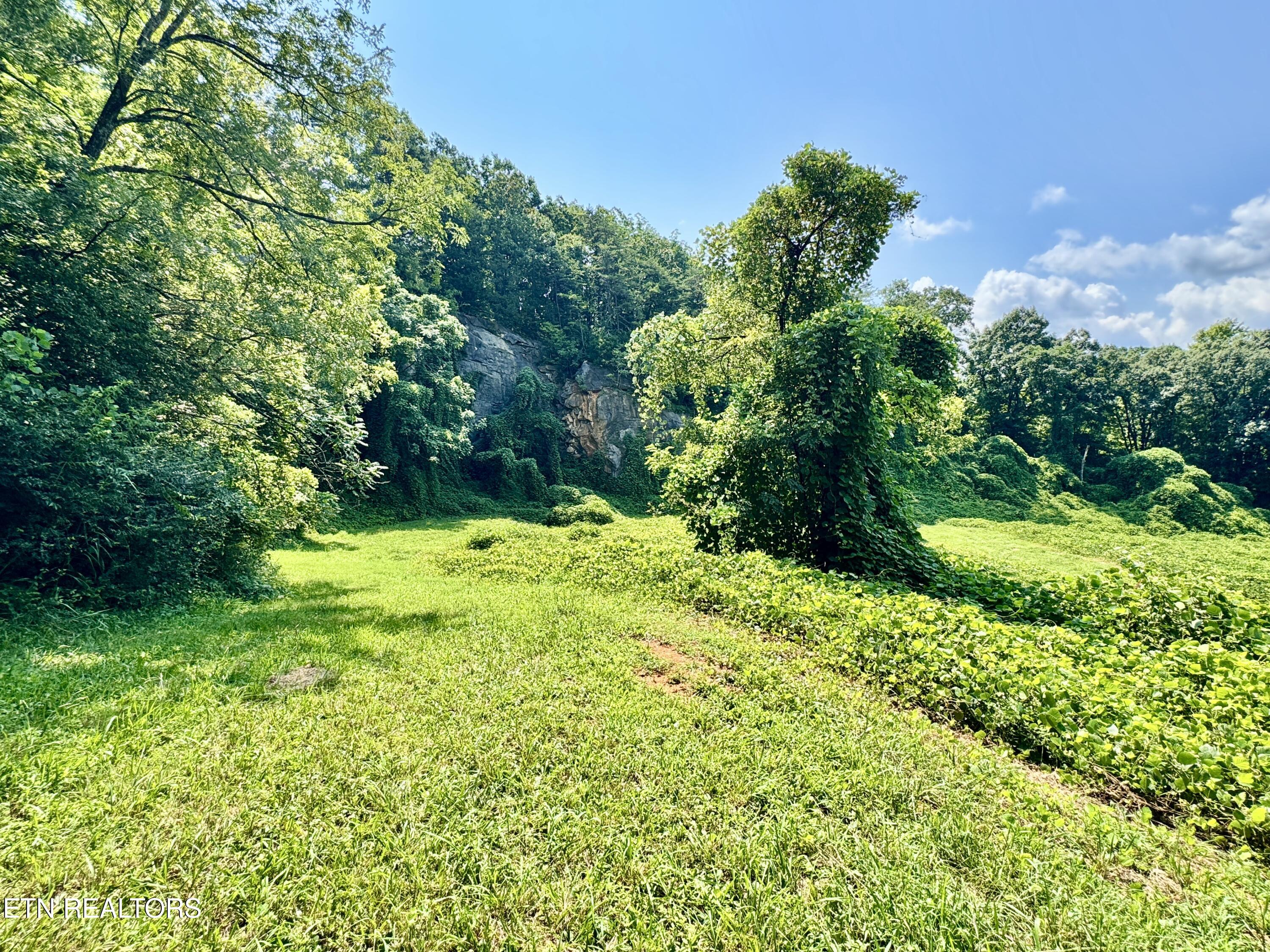 0 Tecoy Quarry Road Knoxville TN 37921