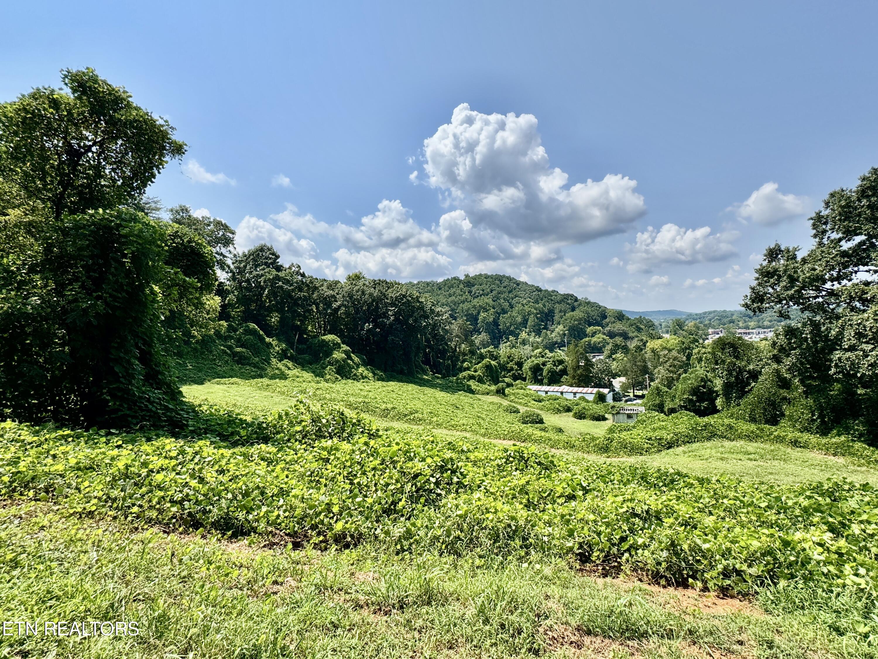 0 Tecoy Quarry Road Knoxville TN 37921