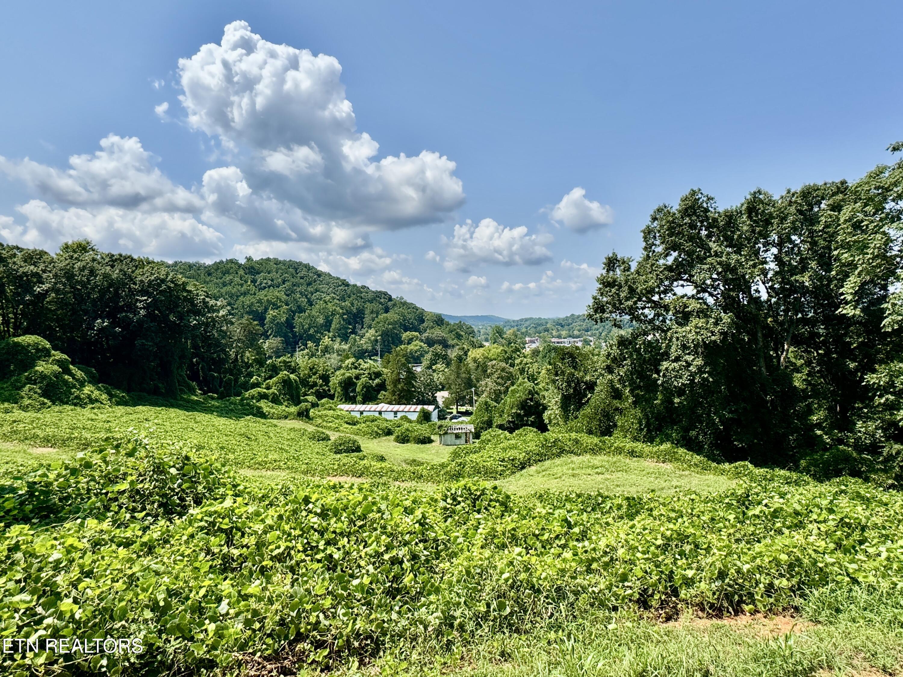 0 Tecoy Quarry Road Knoxville TN 37921