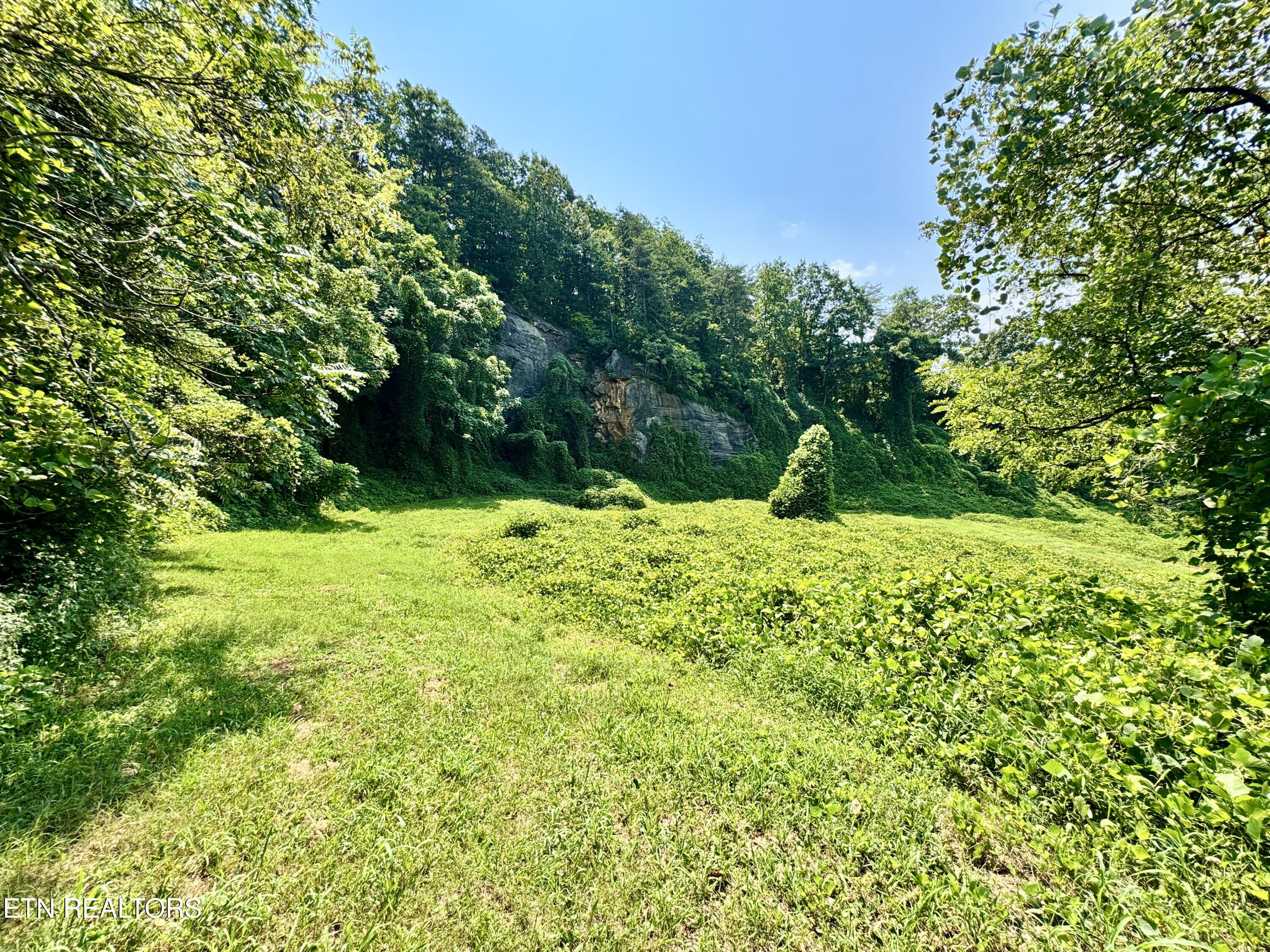 0 Tecoy Quarry Road Knoxville TN 37921