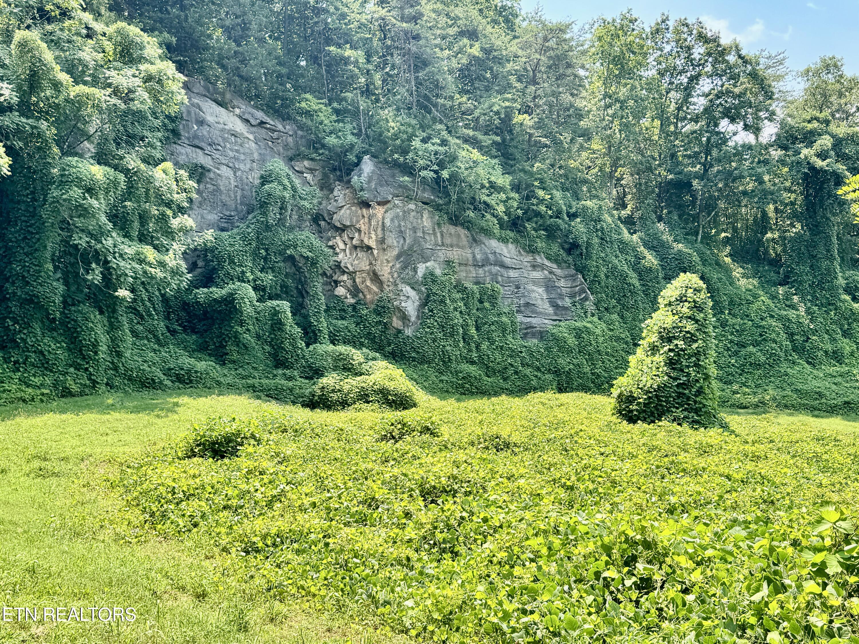 0 Tecoy Quarry Road Knoxville TN 37921