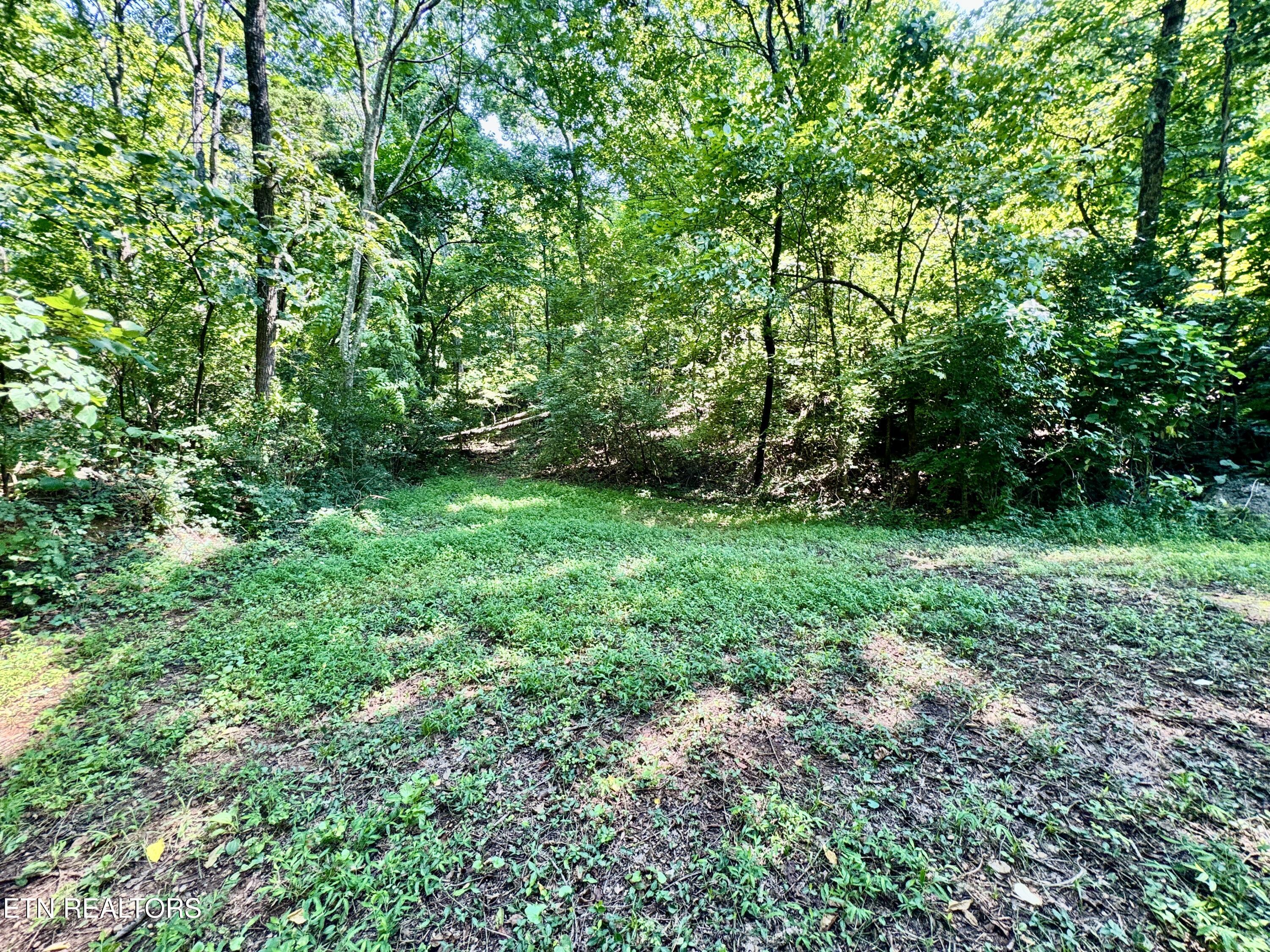 0 Tecoy Quarry Road Knoxville TN 37921