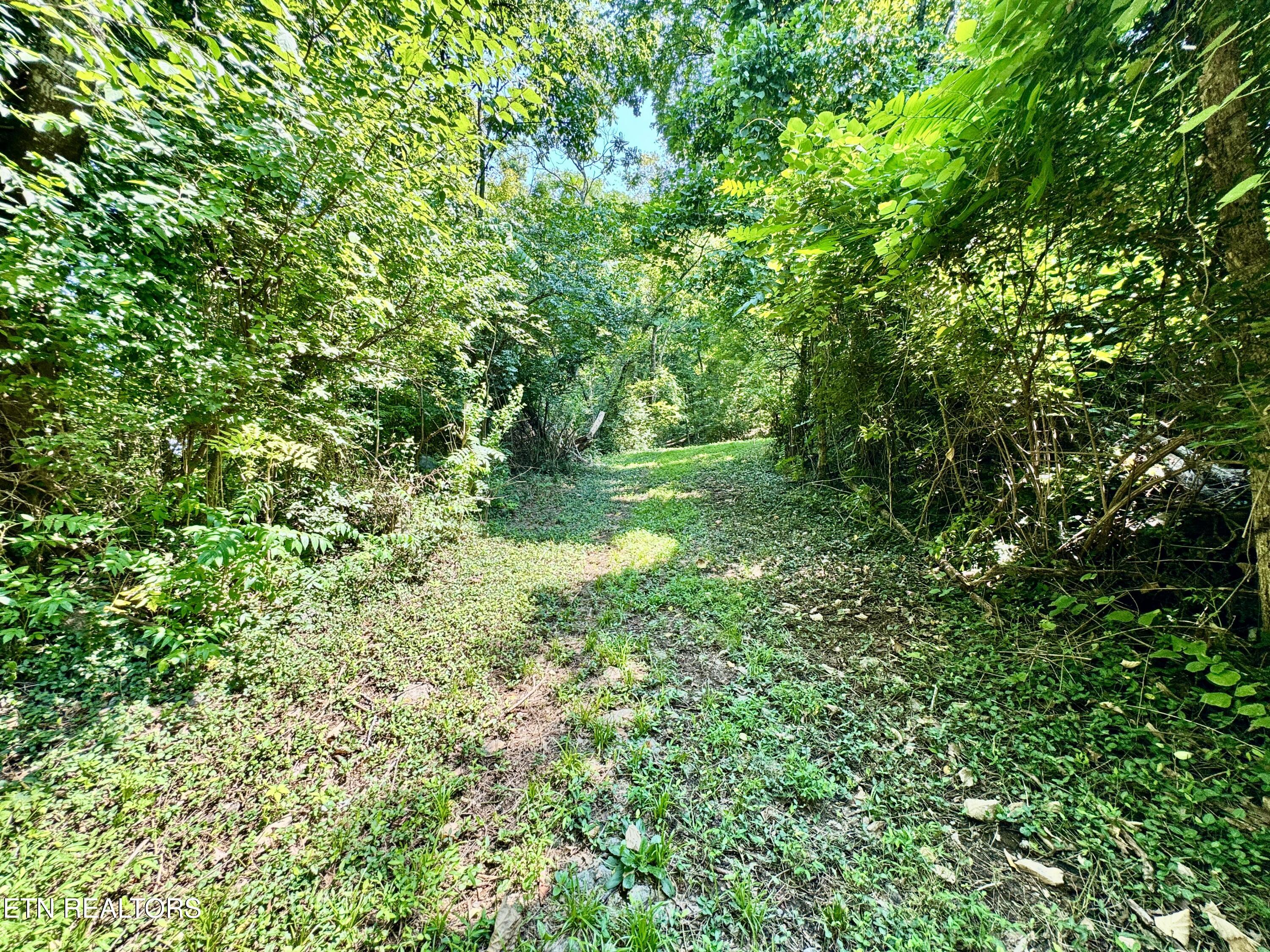 0 Tecoy Quarry Road Knoxville TN 37921