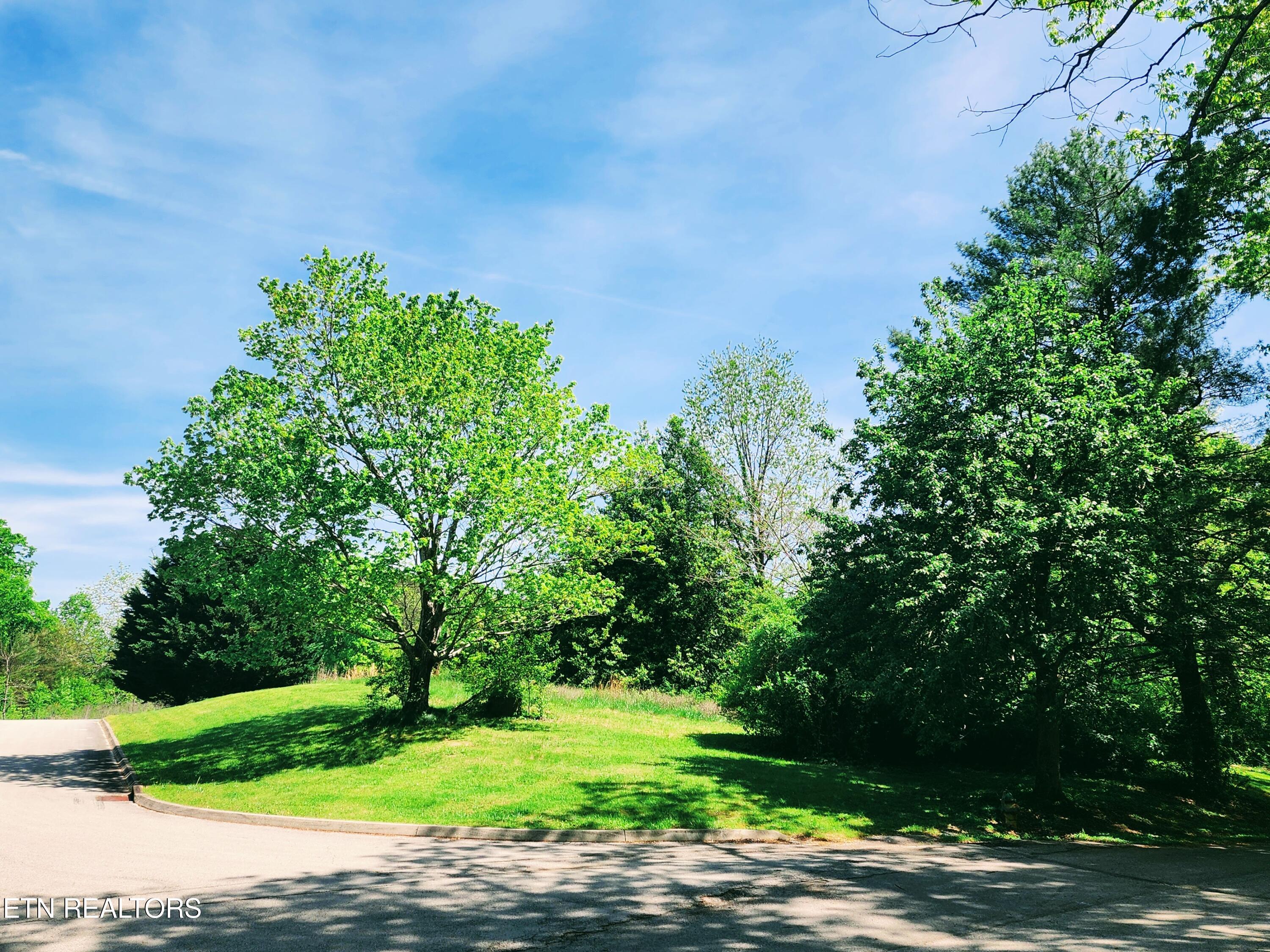 Melea Lane Kingston TN 37763