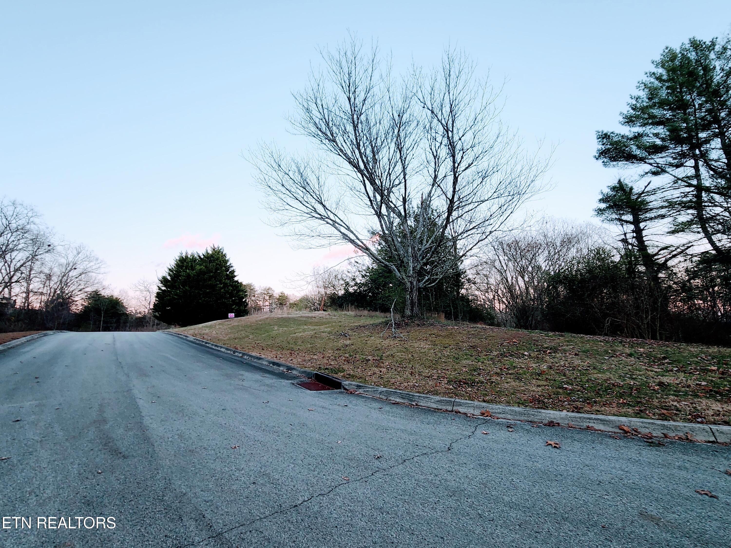 Melea Lane Kingston TN 37763