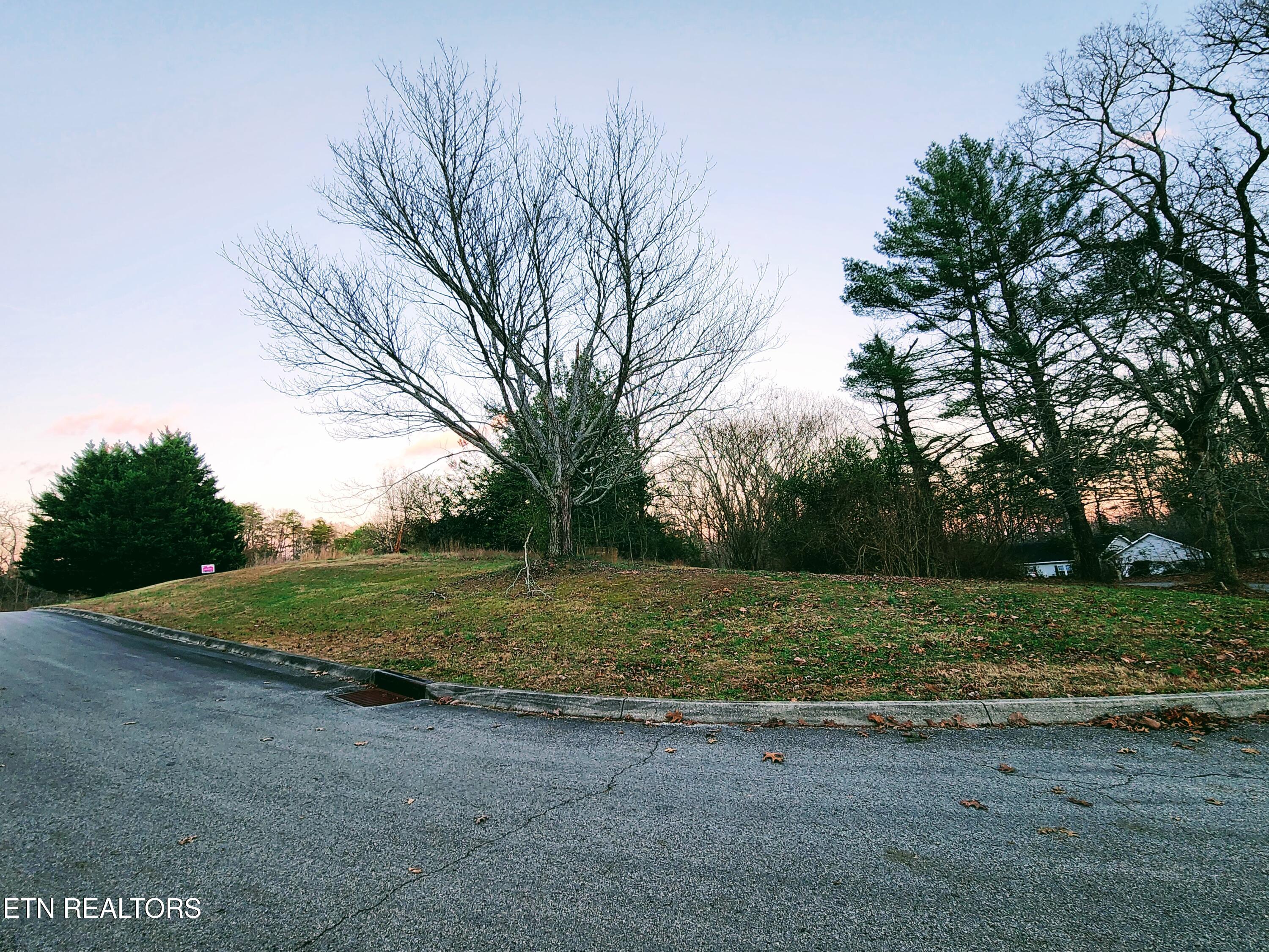 Melea Lane Kingston TN 37763
