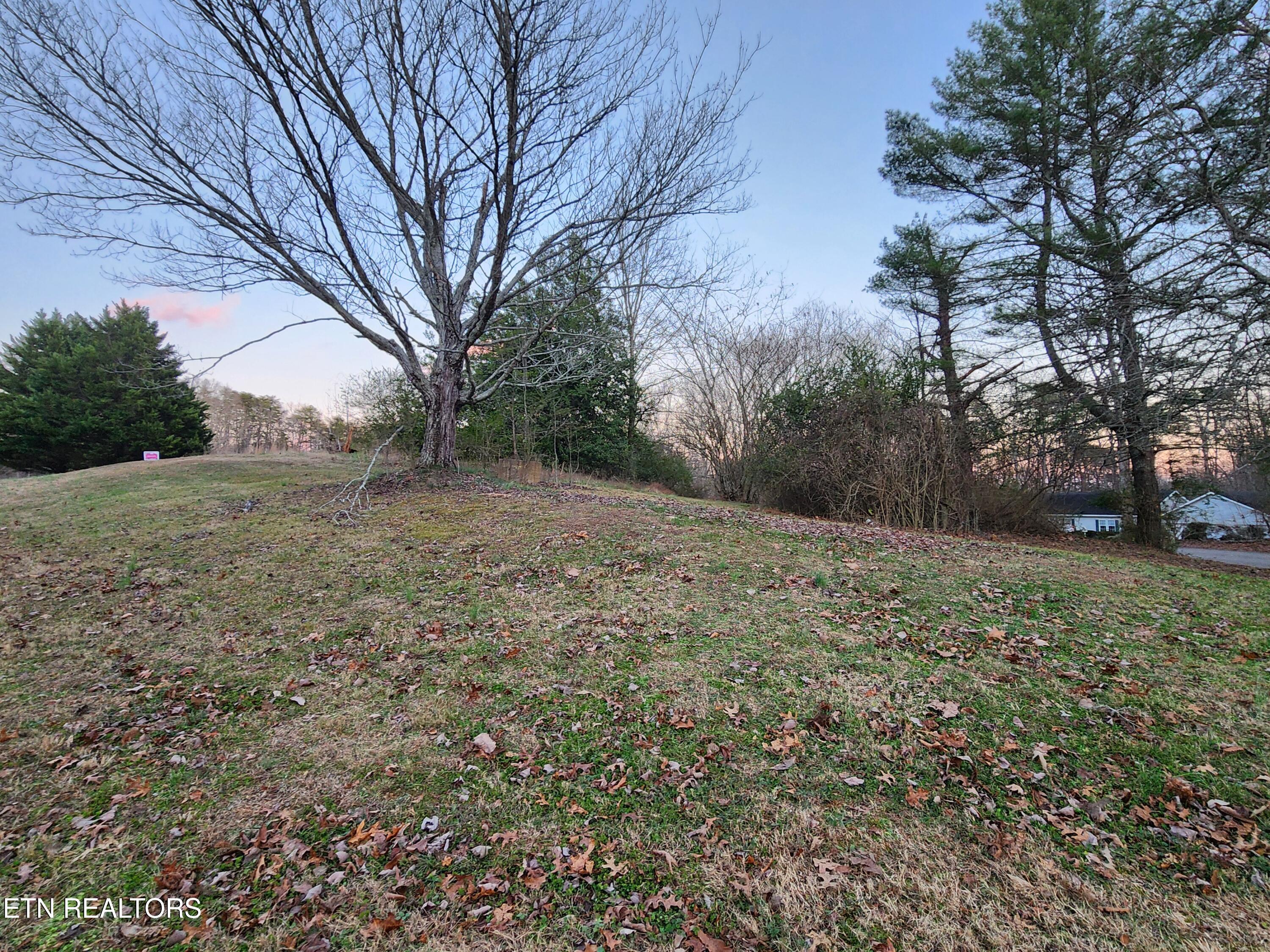 Melea Lane Kingston TN 37763
