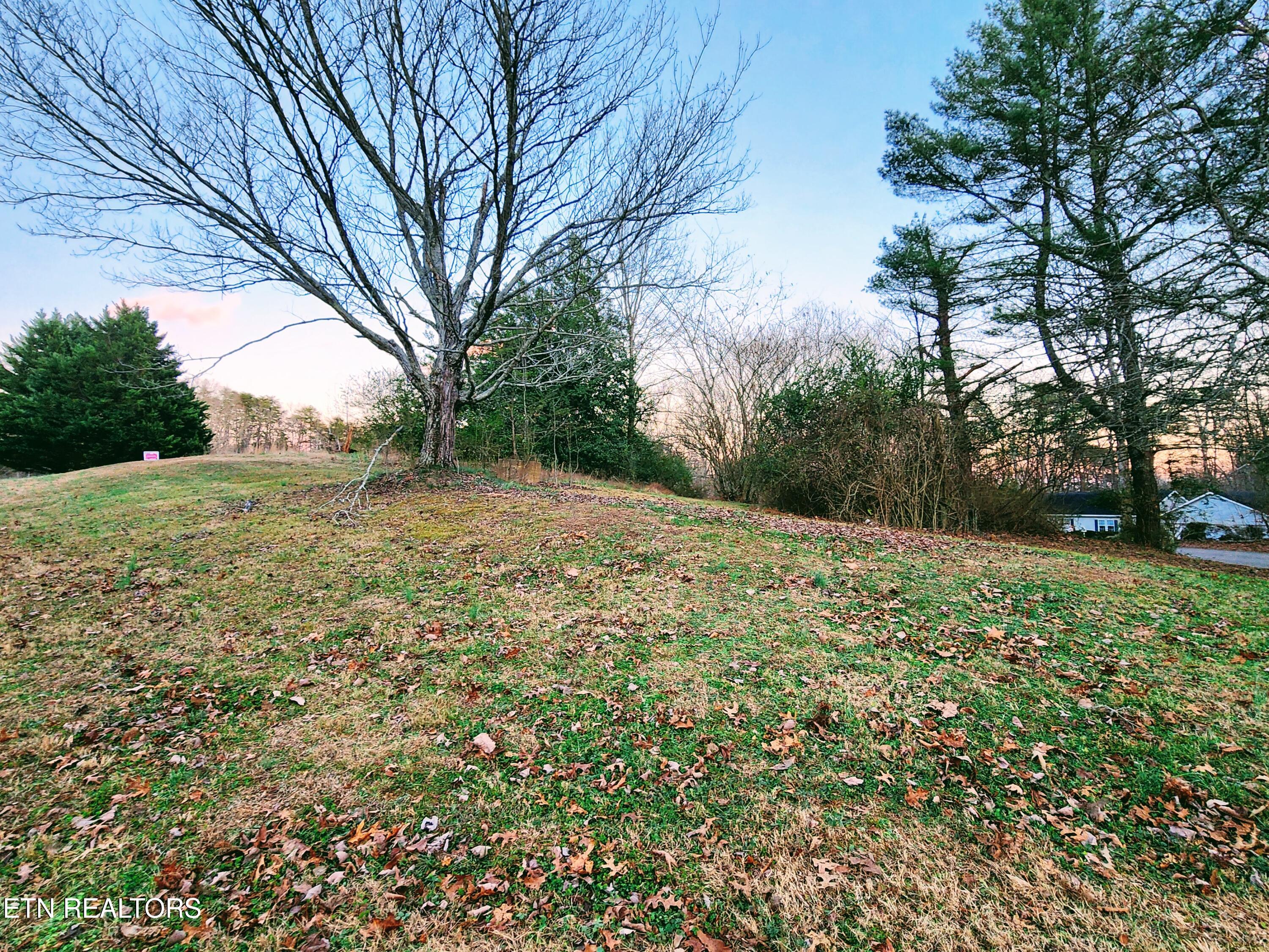 Melea Lane Kingston TN 37763