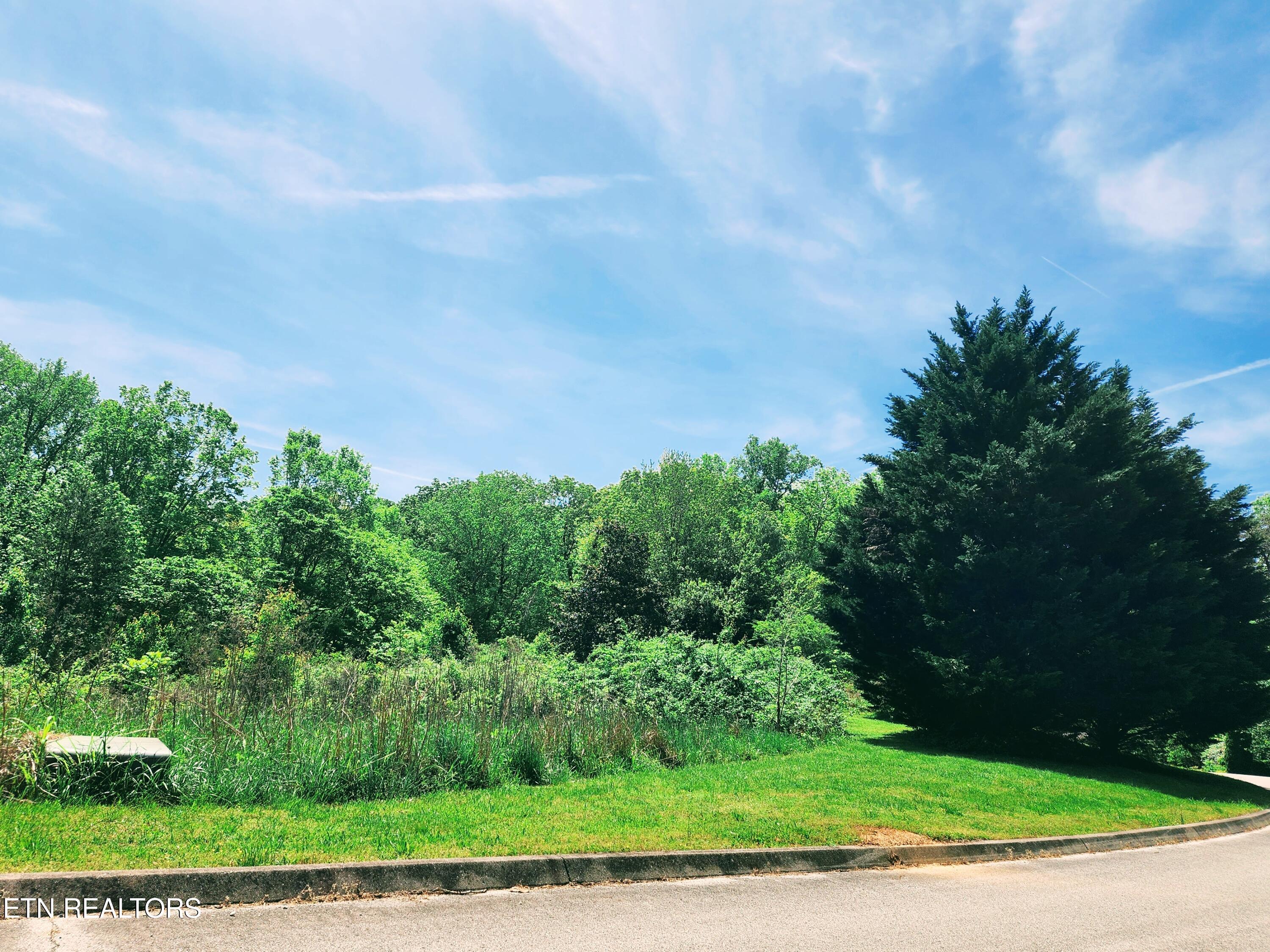 Melea Lane Kingston TN 37763