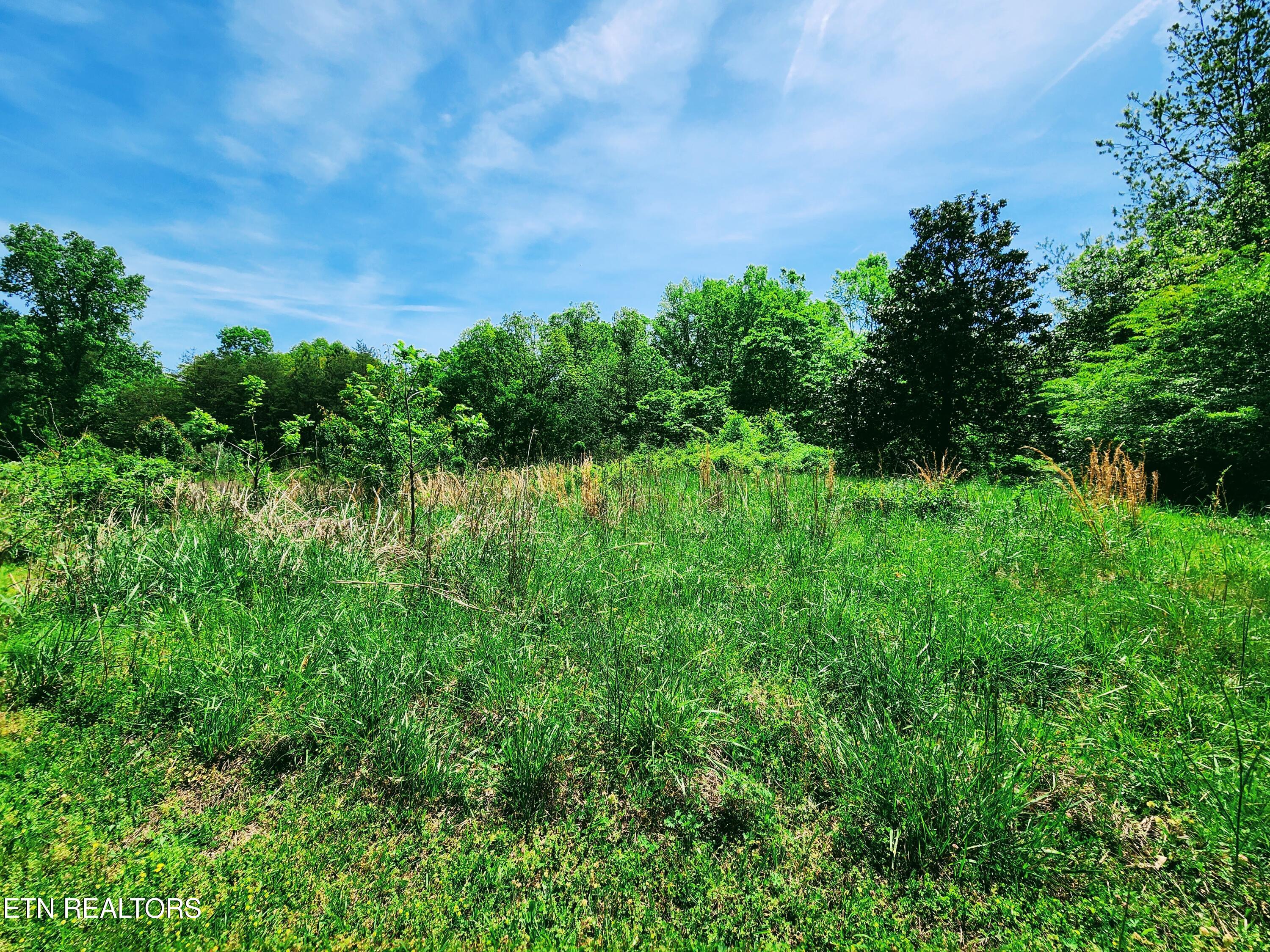 Melea Lane Kingston TN 37763