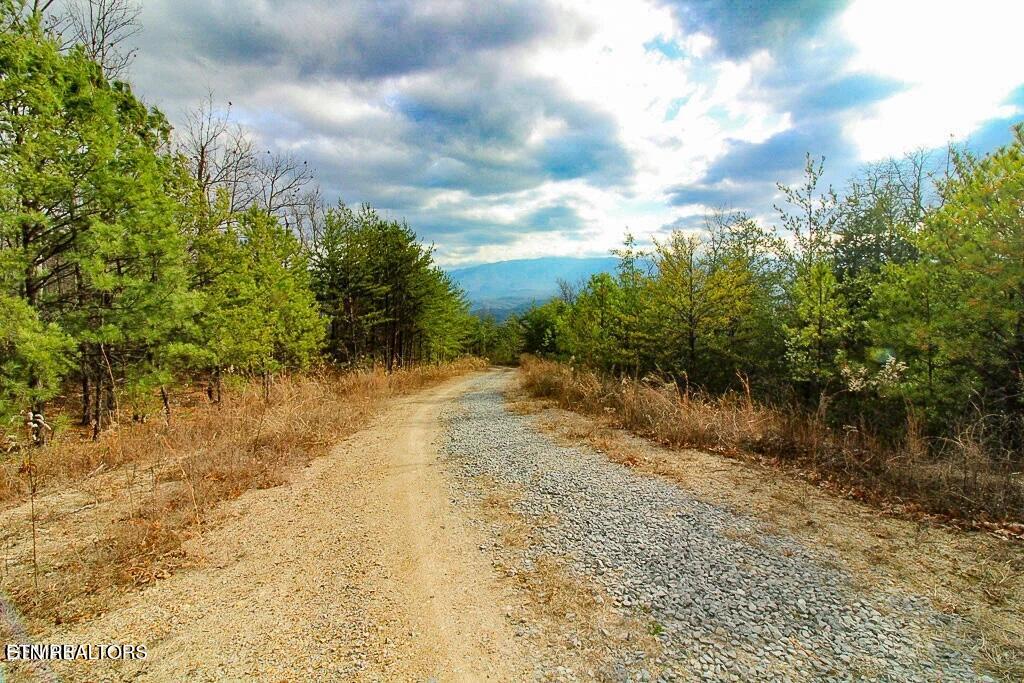 Tract B Mountain Ash Way Sevierville TN 37876