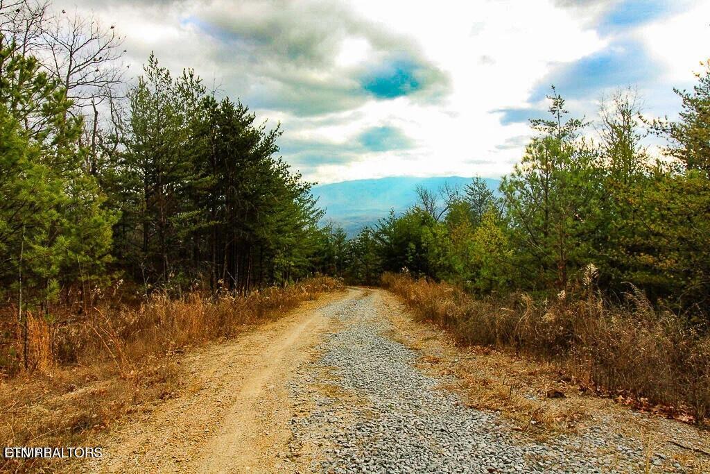 Tract B Mountain Ash Way Sevierville TN 37876