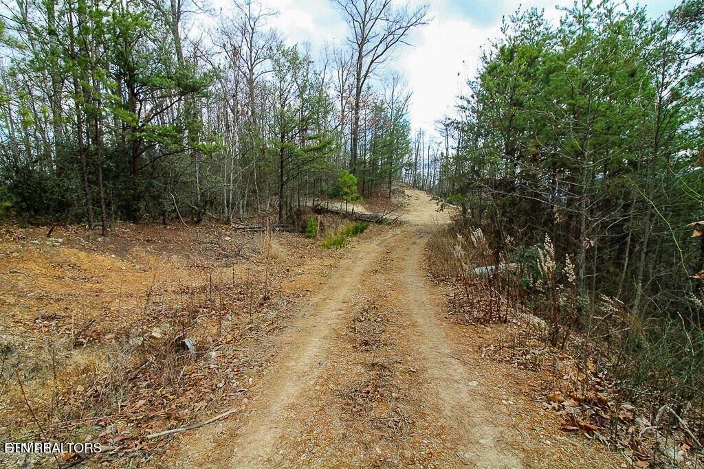 Tract B Mountain Ash Way Sevierville TN 37876