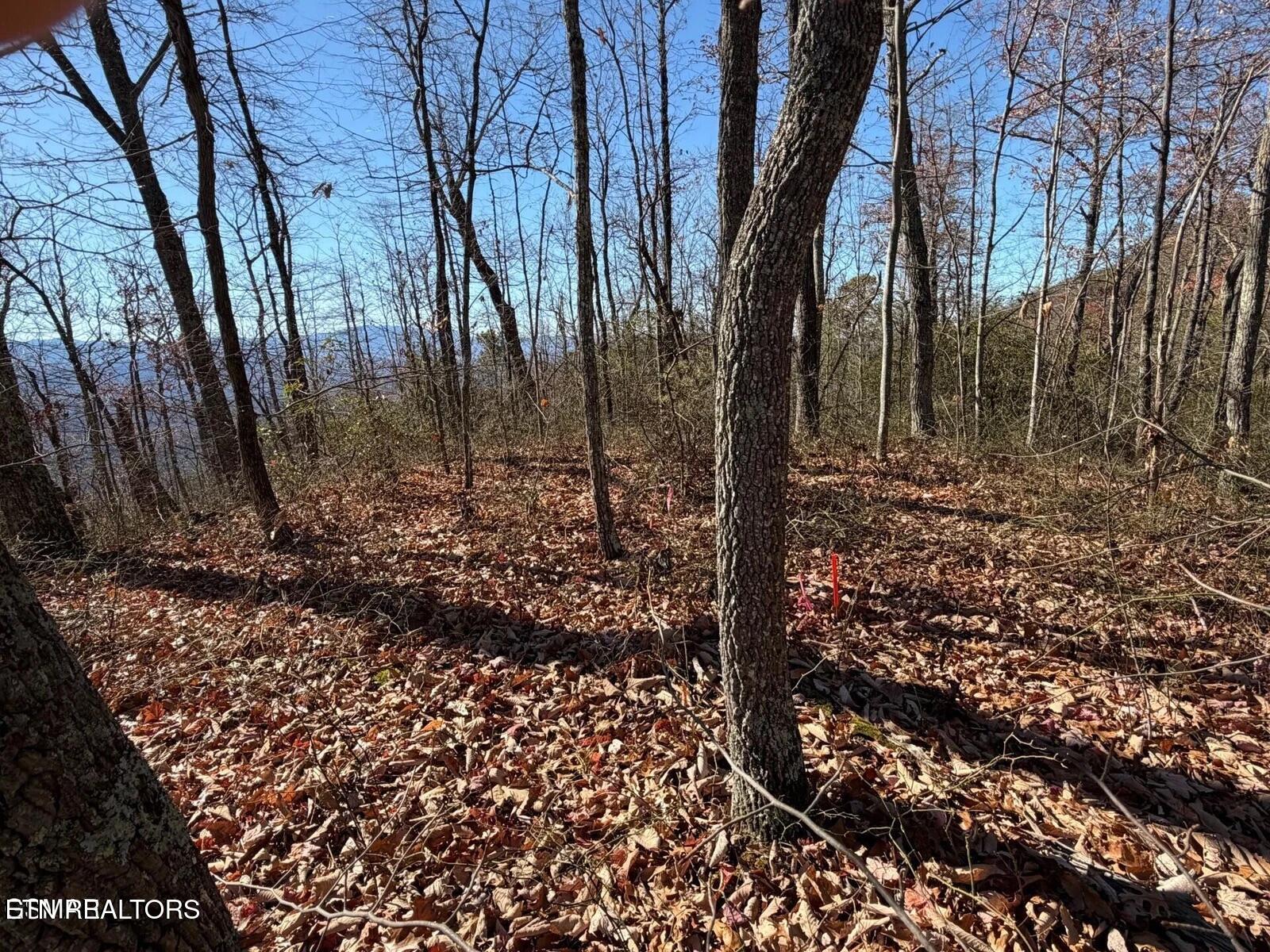 Tract B Mountain Ash Way Sevierville TN 37876