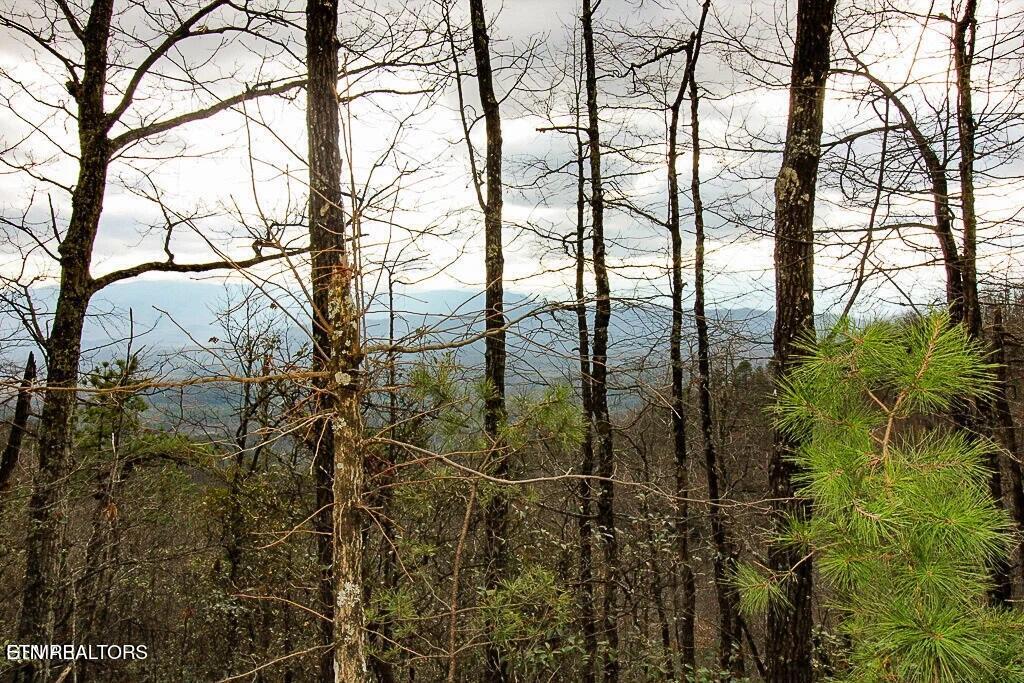 Tract B Mountain Ash Way Sevierville TN 37876