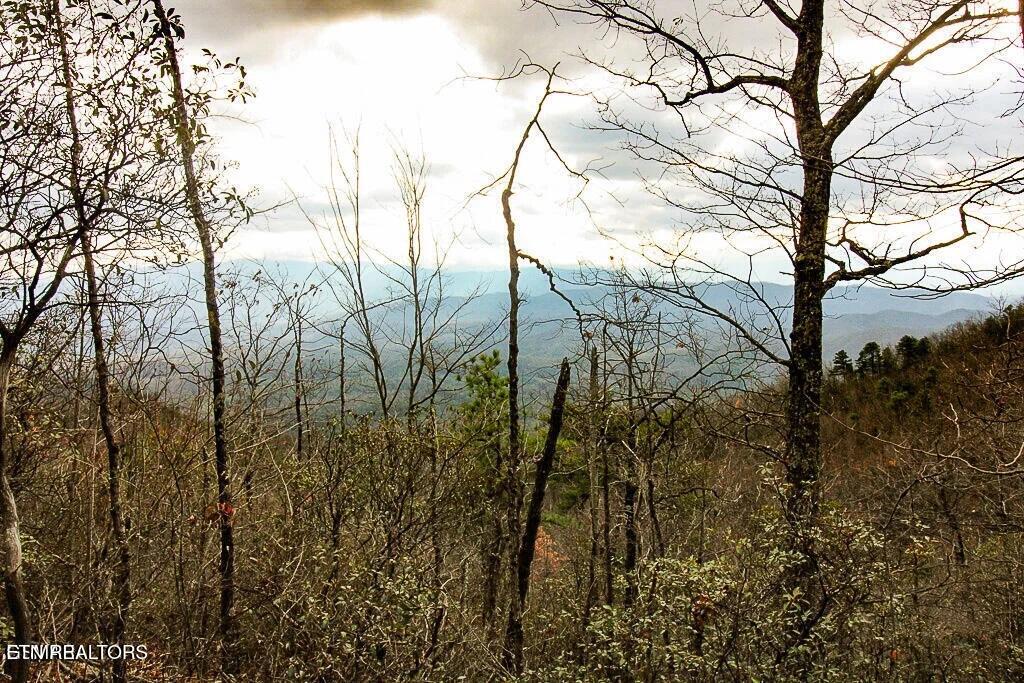 Tract B Mountain Ash Way Sevierville TN 37876