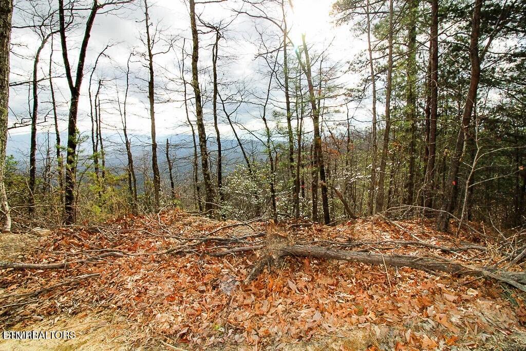 Tract B Mountain Ash Way Sevierville TN 37876