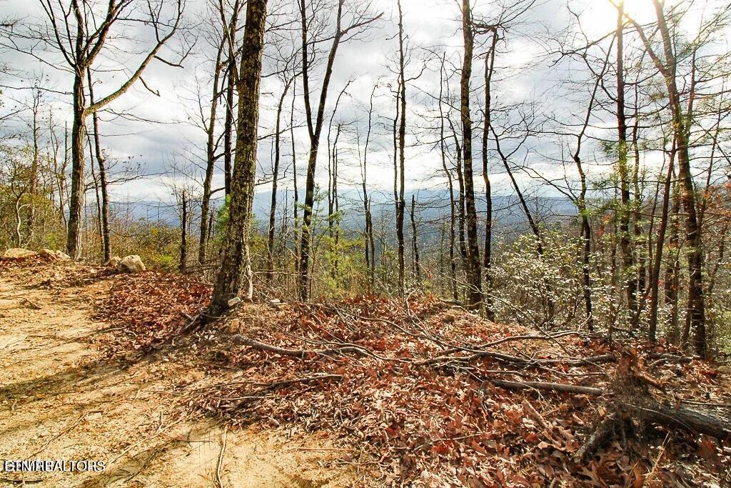 Tract B Mountain Ash Way Sevierville TN 37876