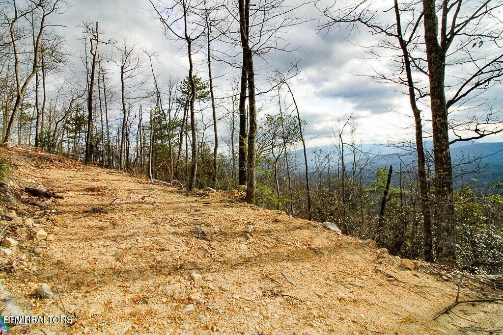 Tract B Mountain Ash Way Sevierville TN 37876