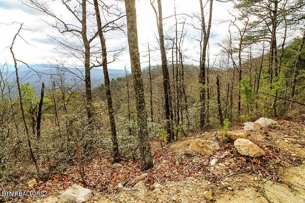 Tract B Mountain Ash Way Sevierville TN 37876
