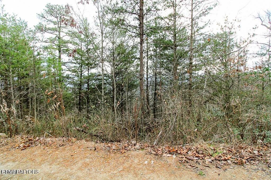 Tract B Mountain Ash Way Sevierville TN 37876