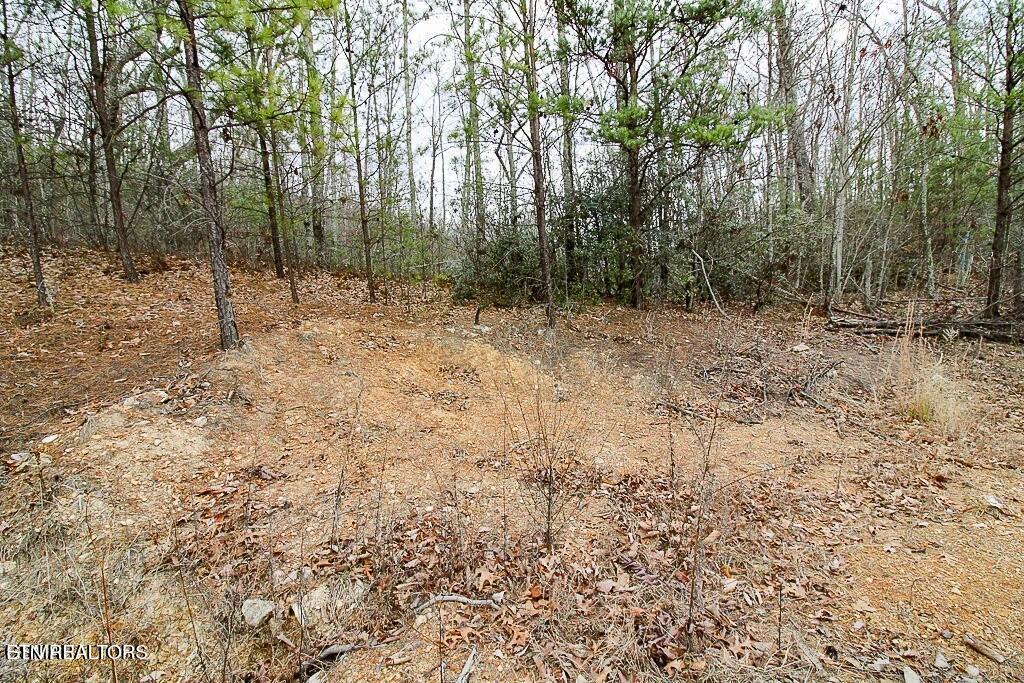 Tract B Mountain Ash Way Sevierville TN 37876