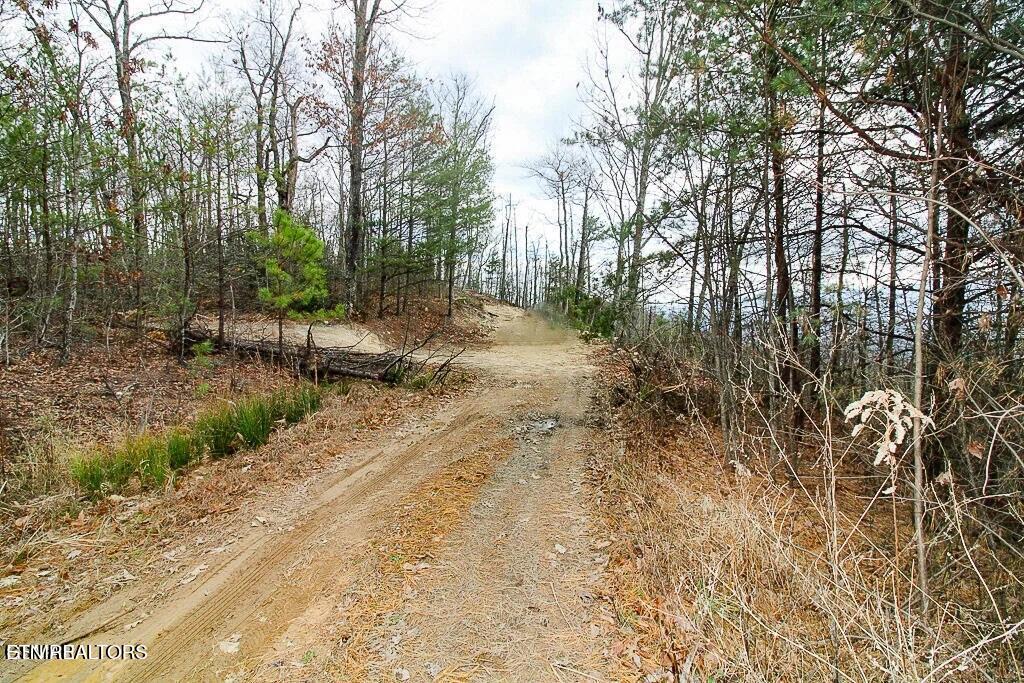 Tract B Mountain Ash Way Sevierville TN 37876