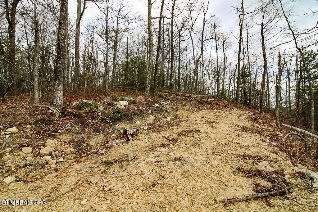 Tract B Mountain Ash Way Sevierville TN 37876