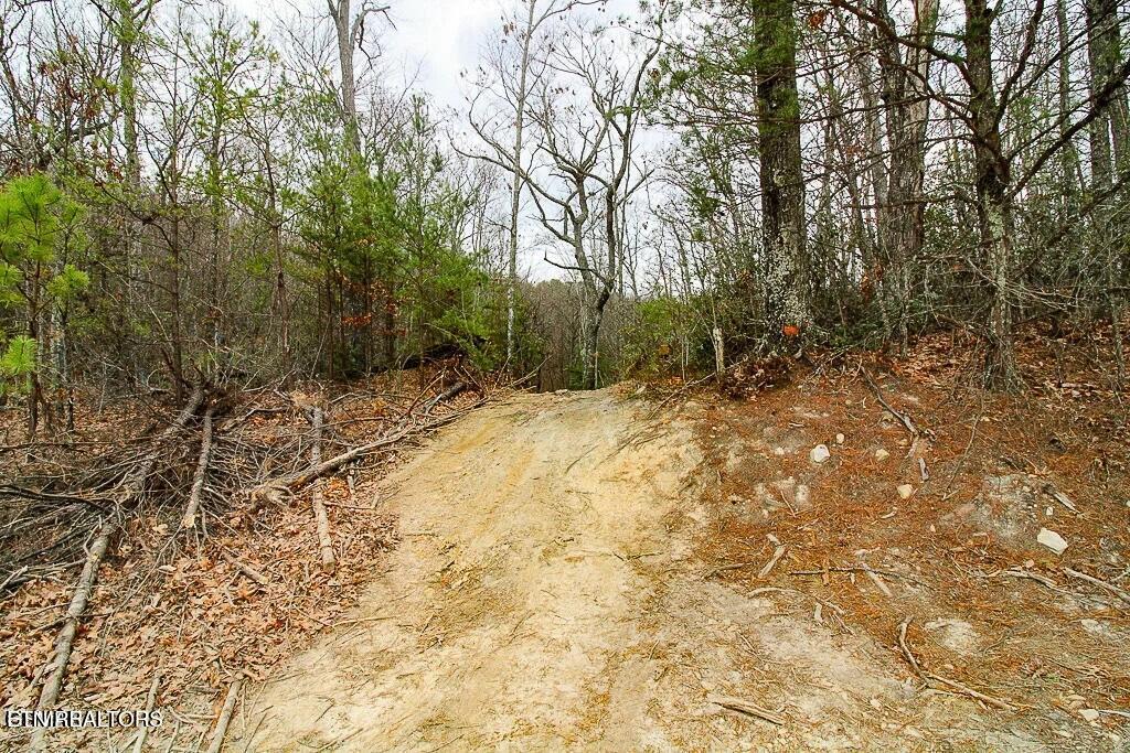 Tract B Mountain Ash Way Sevierville TN 37876