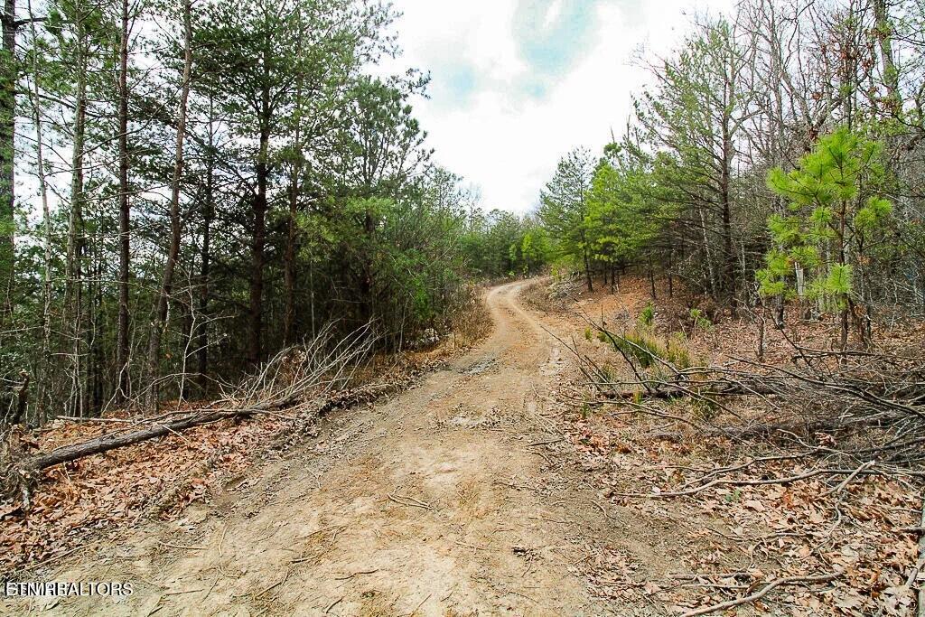 Tract B Mountain Ash Way Sevierville TN 37876