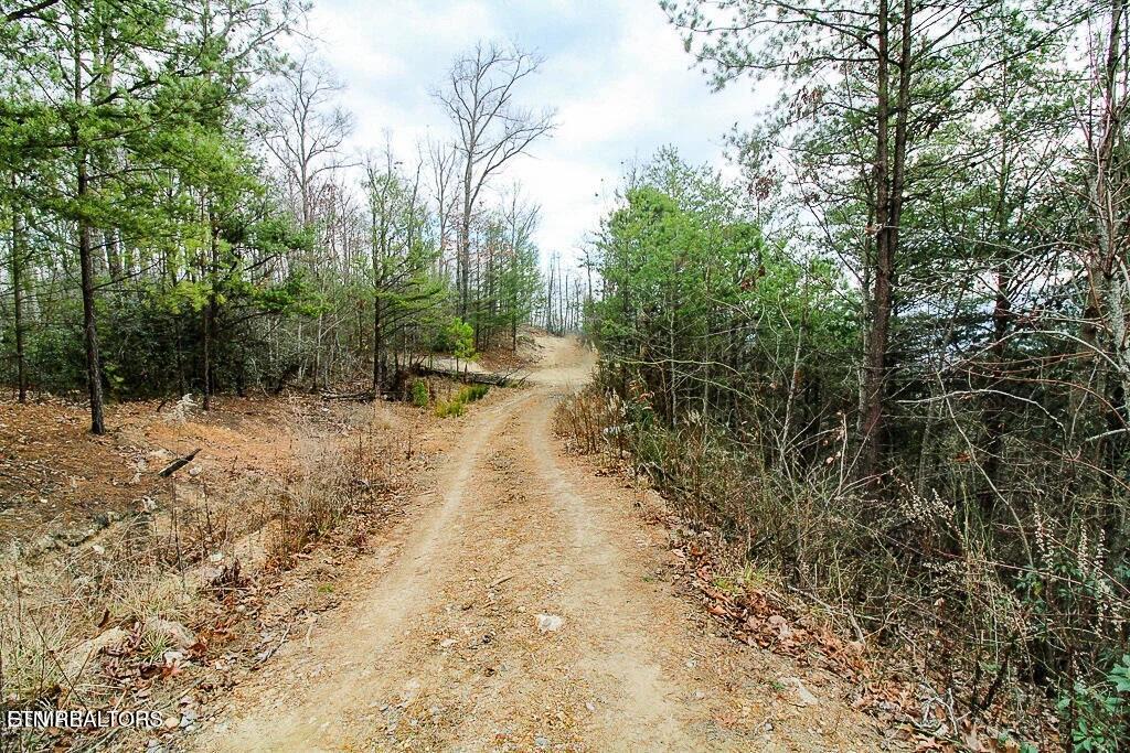 Tract B Mountain Ash Way Sevierville TN 37876