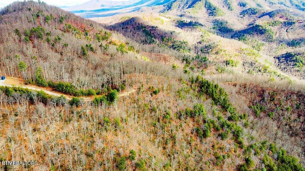 Tract B Mountain Ash Way Sevierville TN 37876
