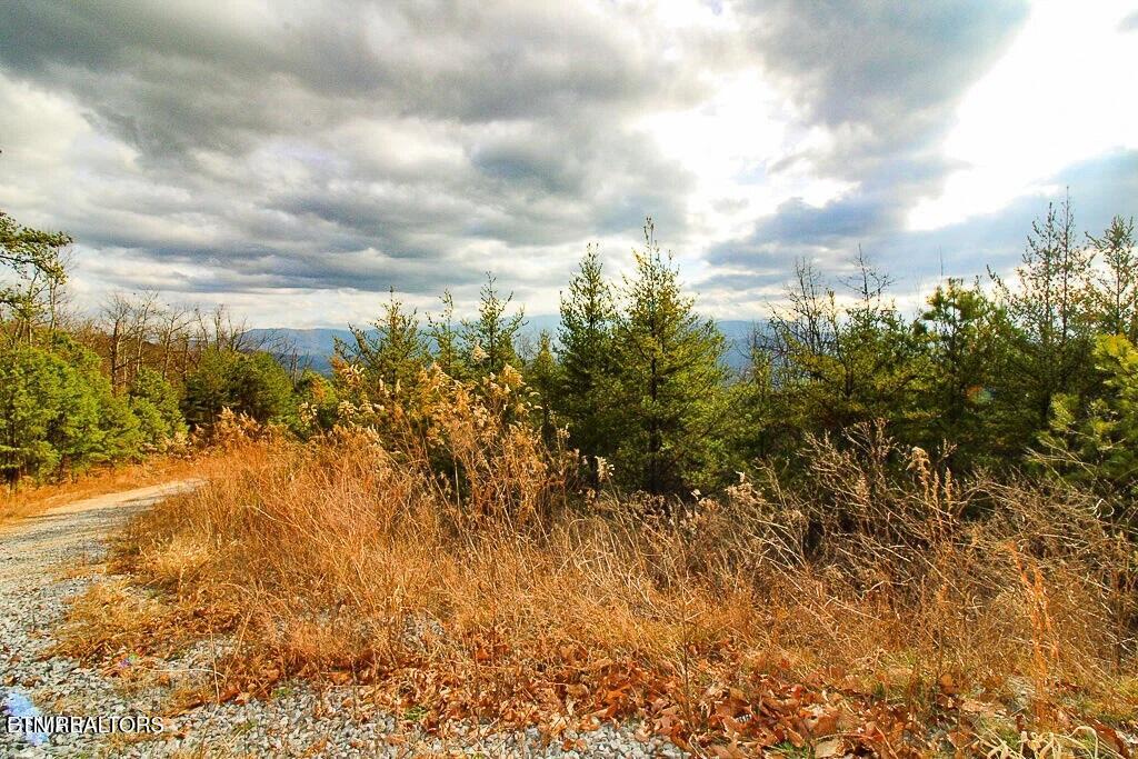 Tract B Mountain Ash Way Sevierville TN 37876