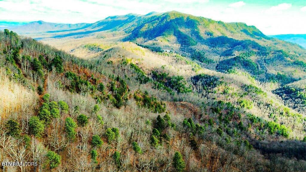 Tract B Mountain Ash Way Sevierville TN 37876