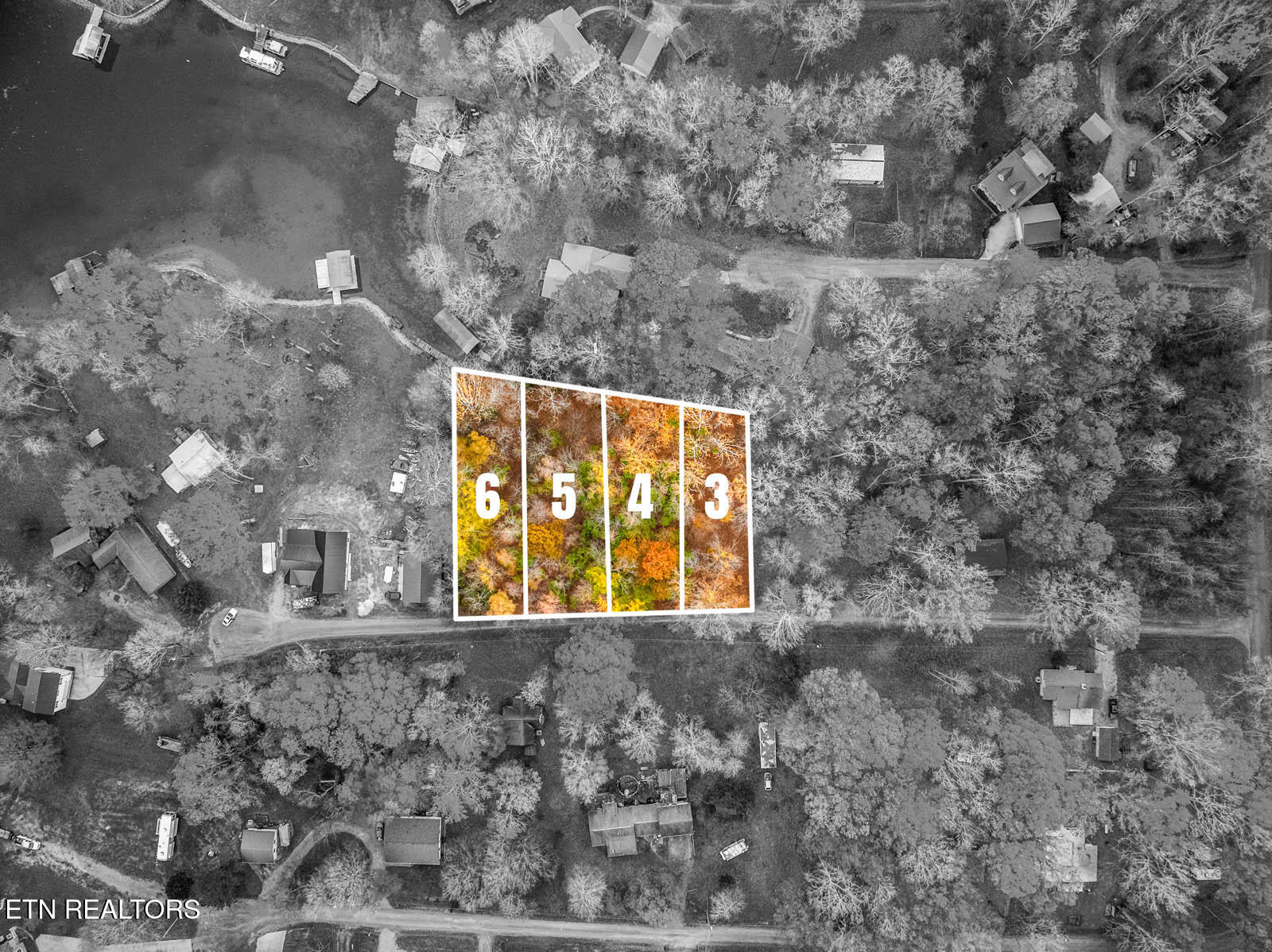 Lakeville Drive Spring City TN 37381