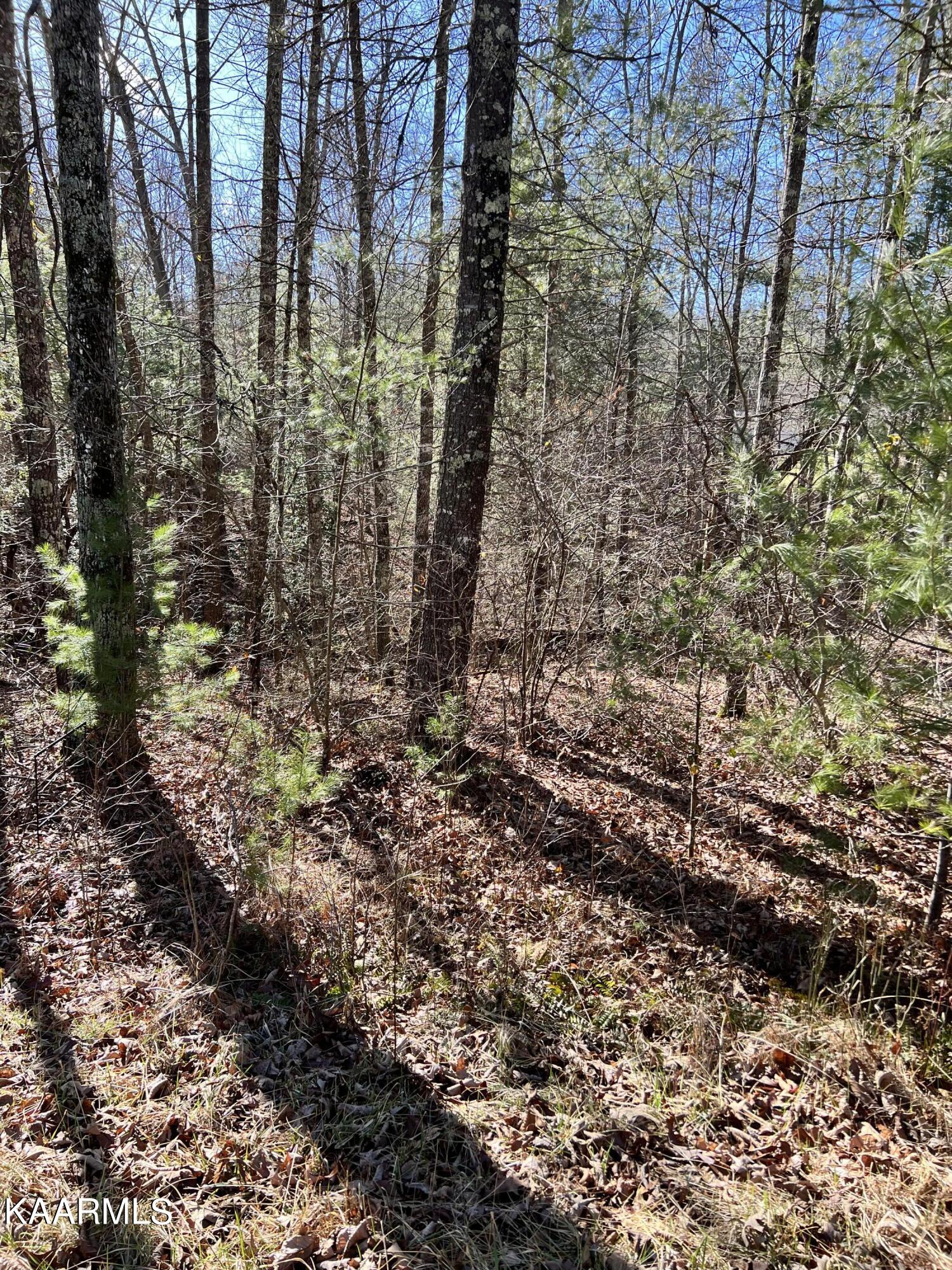 136 Natchez Circle Crossville TN 38558