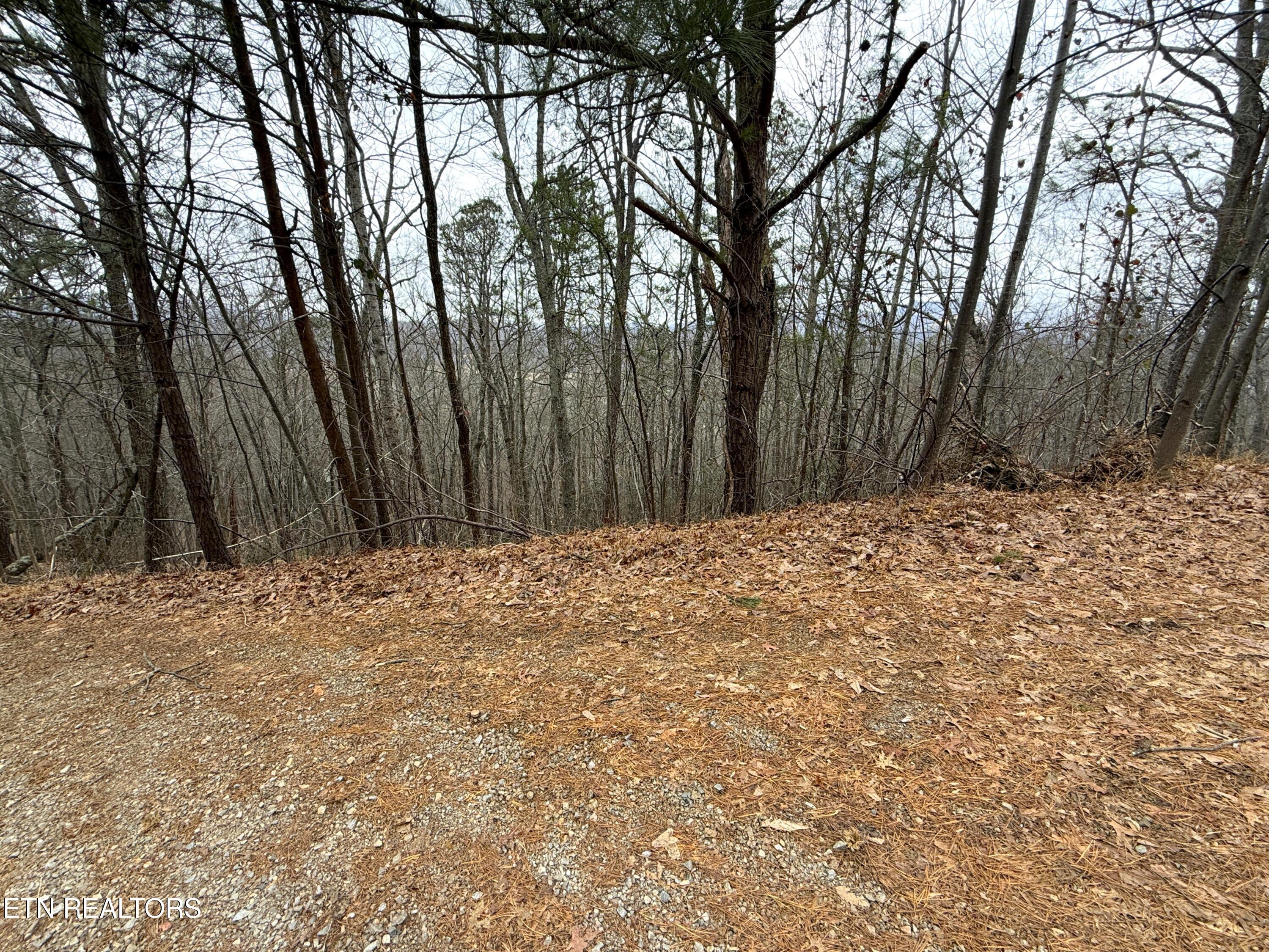 1.01 Ac Green Forest Road Cosby TN 37722