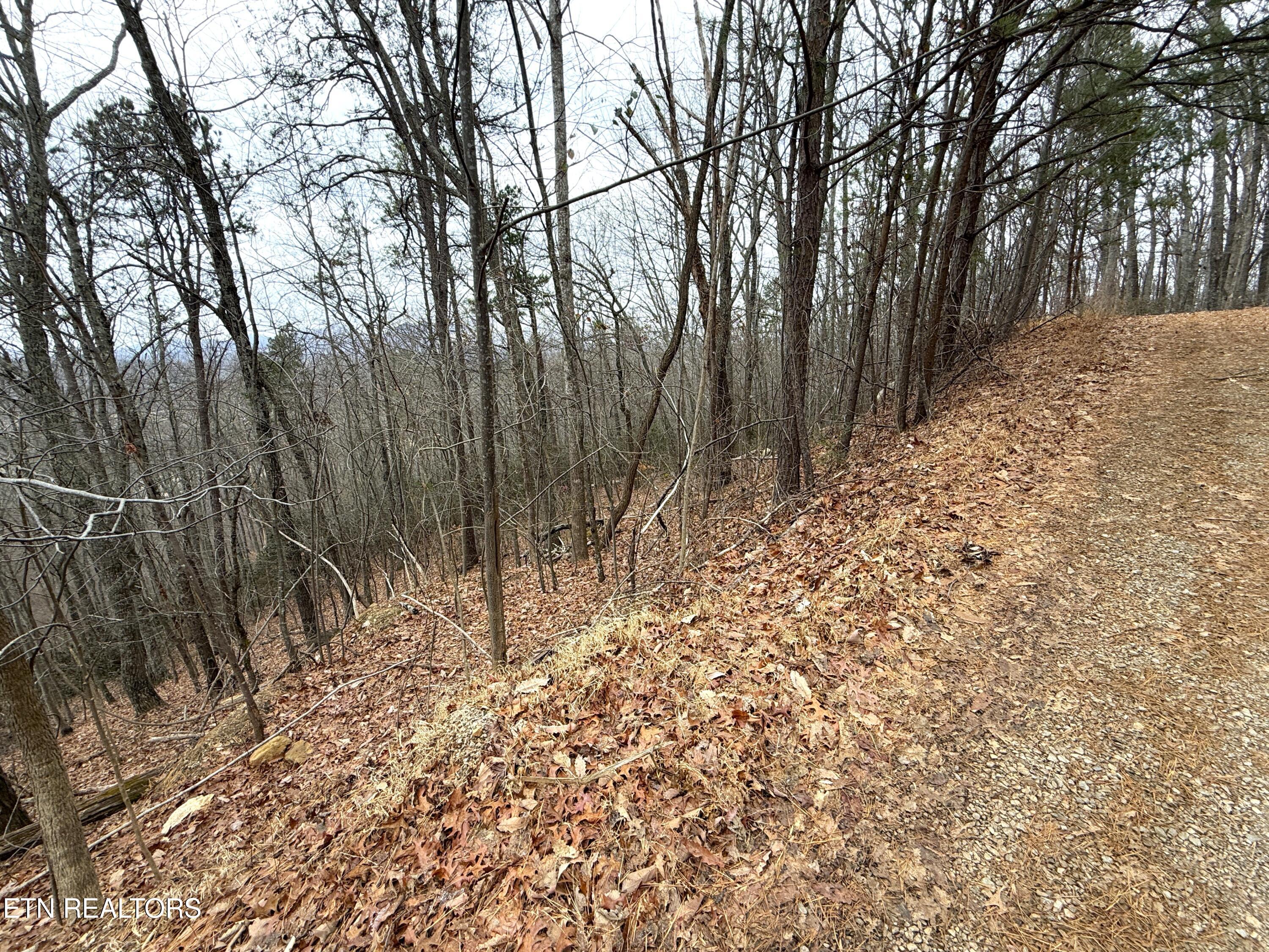 1.01 Ac Green Forest Road Cosby TN 37722
