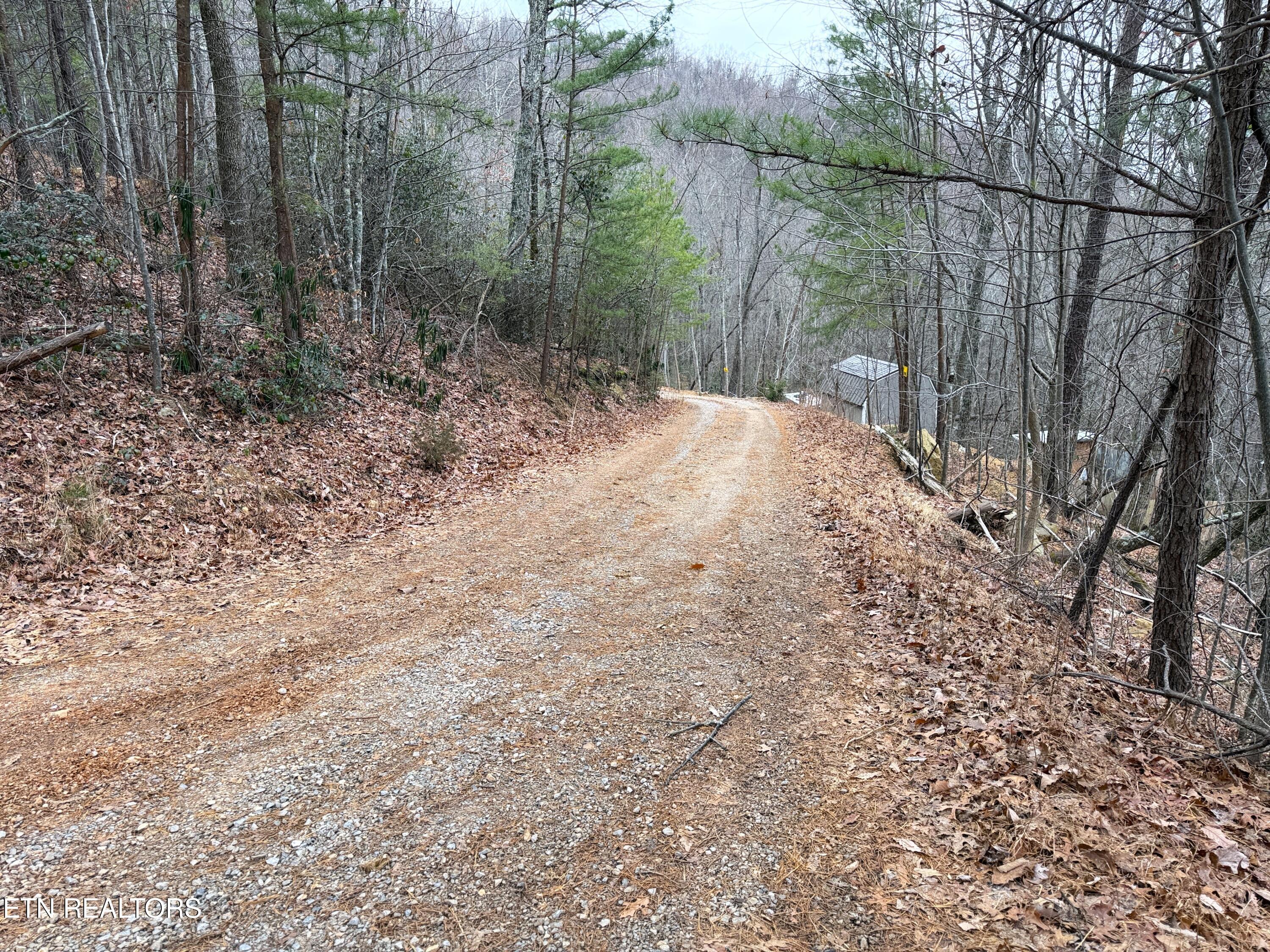 1.01 Ac Green Forest Road Cosby TN 37722