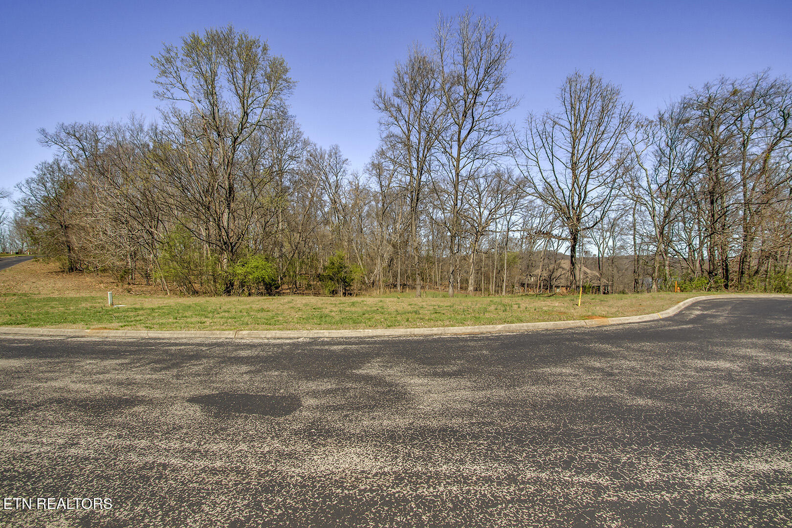 141 Song Sparrow Drive Vonore TN 37885
