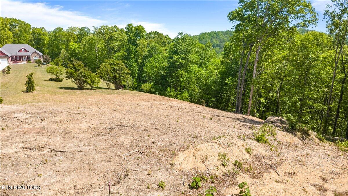 Cheri Lane Caryville TN 37714