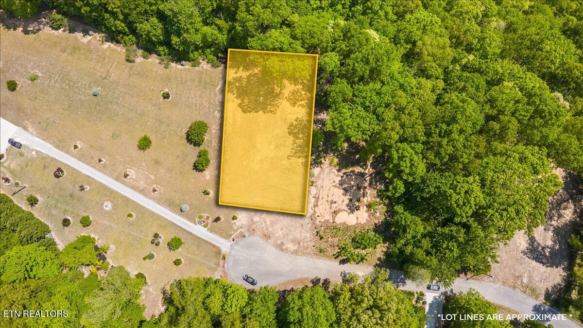 Cheri Lane Caryville TN 37714