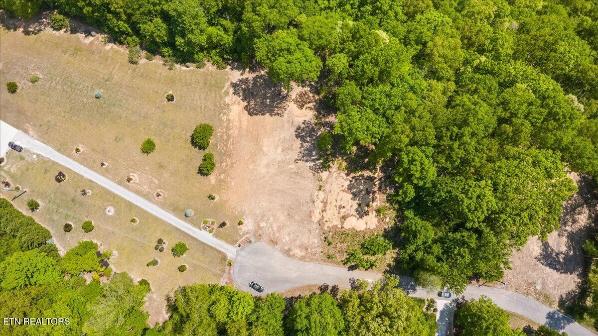 Cheri Lane Caryville TN 37714