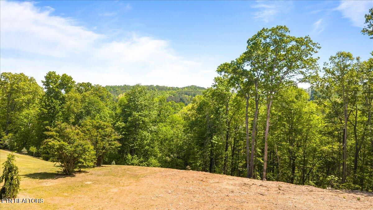 Cheri Lane Caryville TN 37714