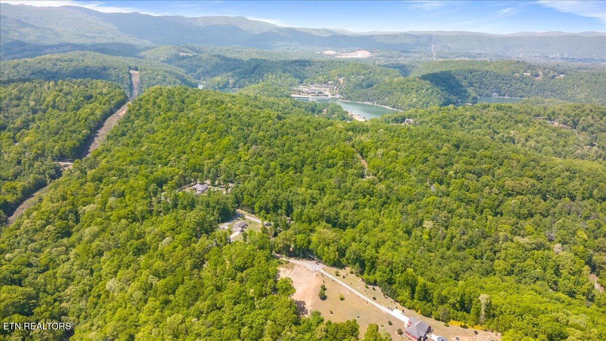 Cheri Lane Caryville TN 37714