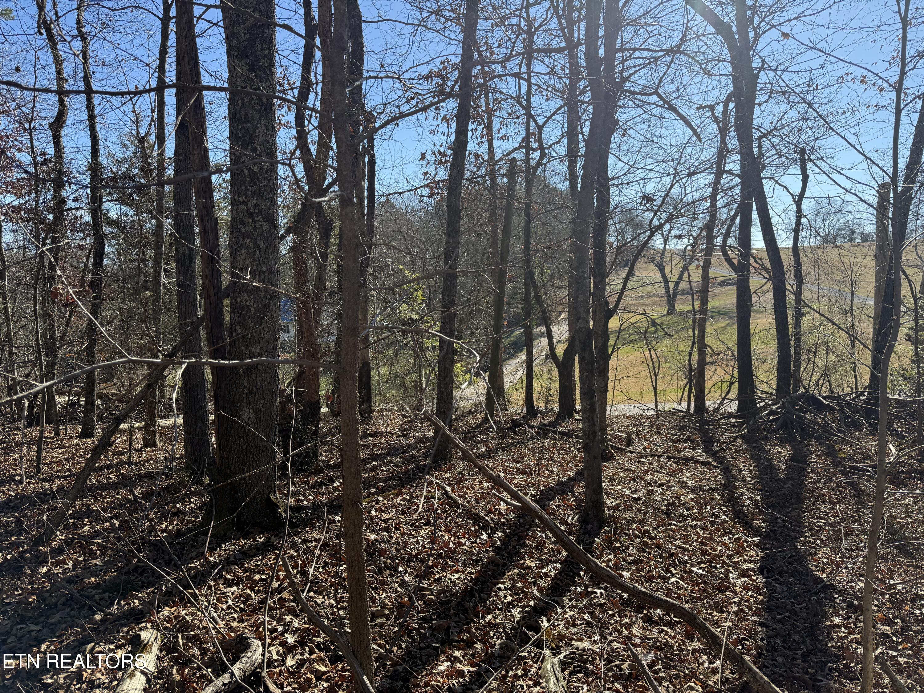 0 Cates Road Rockwood TN 37854
