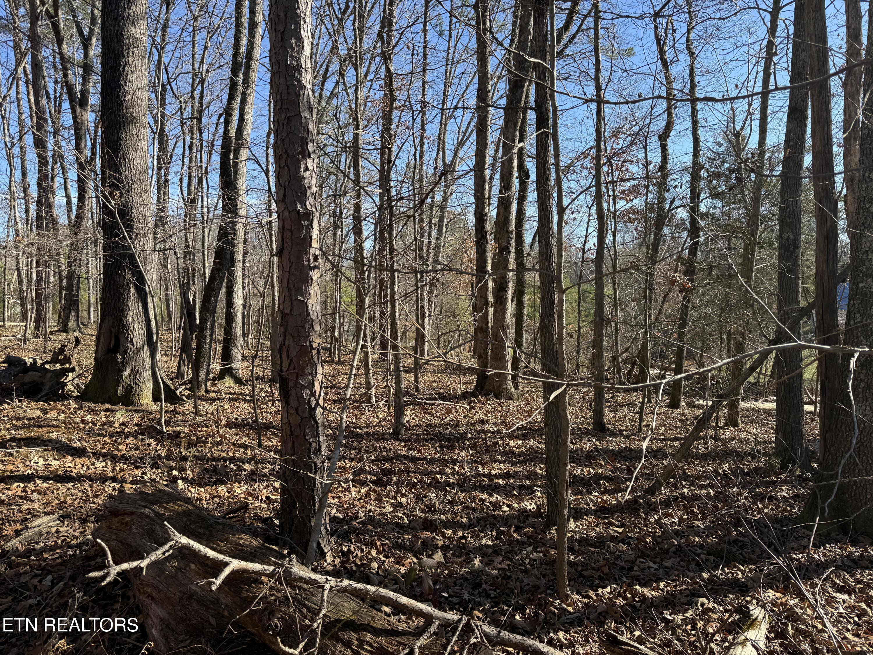 0 Cates Road Rockwood TN 37854