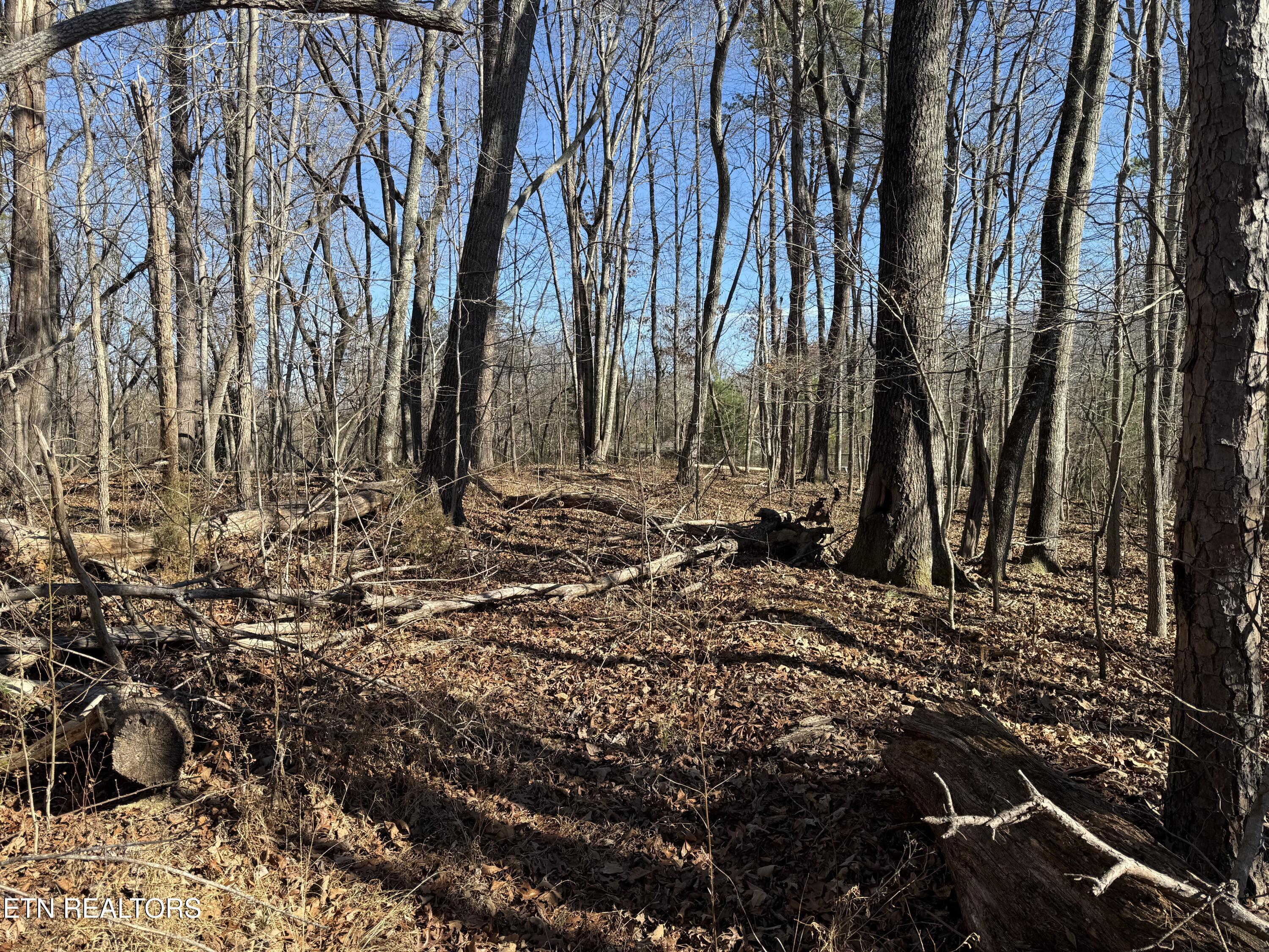 0 Cates Road Rockwood TN 37854