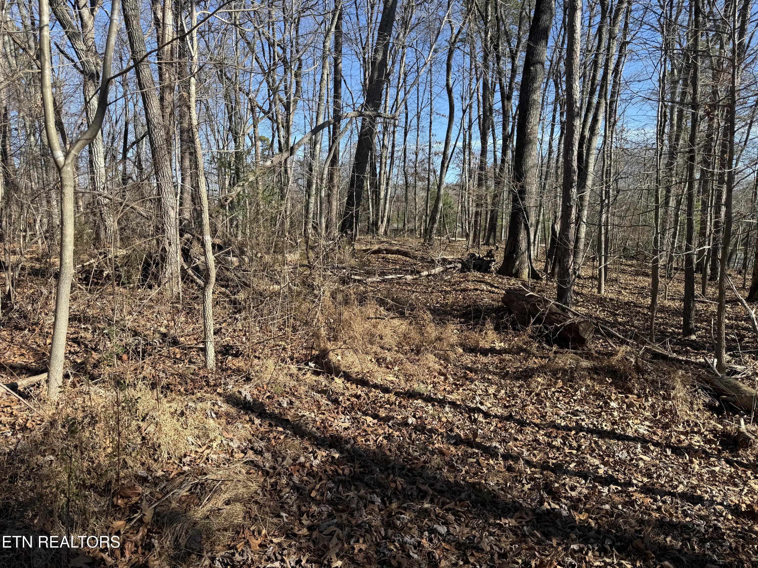 0 Cates Road Rockwood TN 37854
